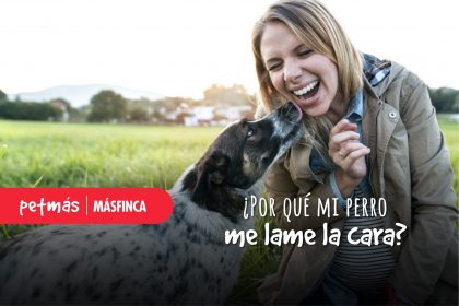 POR QUÉ LOS PERROS NOS LAMEN LA CARA