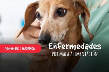 ENFERMEDADES POR MALA ALIMENTACIÓN