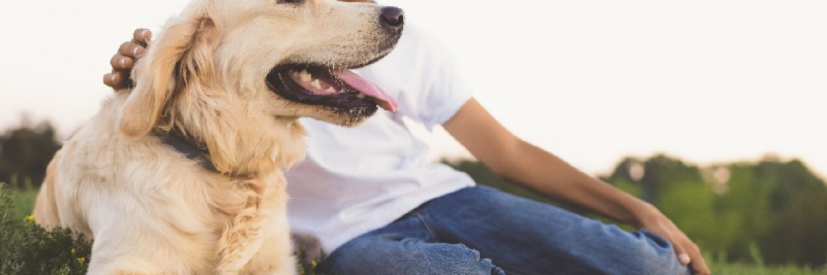 5-Beneficios-de-tener-mascota-para-tu-salud-mental